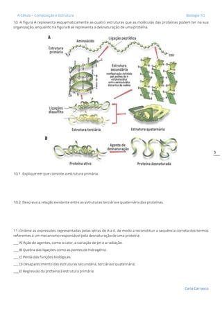 A Célula – Composição e Estrutura Biologia 10
Carla Carrasco
5
10. A figura A representa esquematicamente as quatro estruturas que as moléculas das proteínas podem ter na sua
organização, enquanto na figura B se representa a desnaturação de uma proteína.
10.1. Explique em que consiste a estrutura primária.
10.2. Descreva a relação existente entre as estruturas terciária e quaternária das proteínas.
11. Ordene as expressões representadas pelas letras de A a E, de modo a reconstituir a sequência correta dos termos
referentes a um mecanismo responsável pela desnaturação de uma proteína.
___ A) Ação de agentes, como o calor, a variação de pH e a radiação.
___ B) Quebra das ligações como as pontes de hidrogénio.
___ C) Perda das funções biológicas.
___ D) Desaparecimento das estruturas secundária, terciária e quaternária.
___ E) Regressão da proteína à estrutura primária.
 