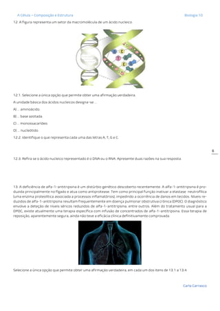 A Célula – Composição e Estrutura Biologia 10
Carla Carrasco
6
12. A figura representa um setor da macromolécula de um ácido nucleico.
12.1. Selecione a única opção que permite obter uma afirmação verdadeira.
A unidade básica dos ácidos nucleicos designa-se …
A) … aminoácido.
B) … base azotada.
C) … monossacarídeo.
D) … nucleótido.
12.2. Identifique o que representa cada uma das letras A, T, G e C.
12.3. Refira se o ácido nucleico representado é o DNA ou o RNA. Apresente duas razões na sua resposta.
13. A deficiência de alfa-1-antitripsina é um distúrbio genético descoberto recentemente. A alfa-1-antitripsina é pro-
duzida principalmente no fígado e atua como antiprotease. Tem como principal função inativar a elastase neutrofílica
(uma enzima proteolítica associada a processos inflamatórios), impedindo a ocorrência de danos em tecidos. Níveis re-
duzidos de alfa-1-antitripsina resultam frequentemente em doença pulmonar obstrutiva crónica (DPOC). O diagnóstico
envolve a deteção de níveis séricos reduzidos de alfa-1-antitripsina, entre outros. Além do tratamento usual para a
DPOC, existe atualmente uma terapia específica com infusão de concentrados de alfa-1-antitripsina. Essa terapia de
reposição, aparentemente segura, ainda não teve a eficácia clínica definitivamente comprovada.
Selecione a única opção que permite obter uma afirmação verdadeira, em cada um dos itens de 13.1 a 13.4.
 