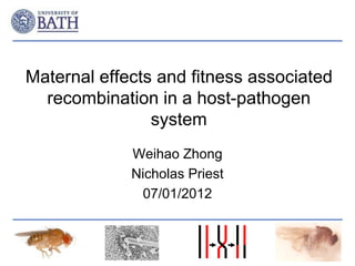 Maternal effects and fitness associated
recombination in a host-pathogen
system
Weihao Zhong
Nicholas Priest
07/01/2012
 