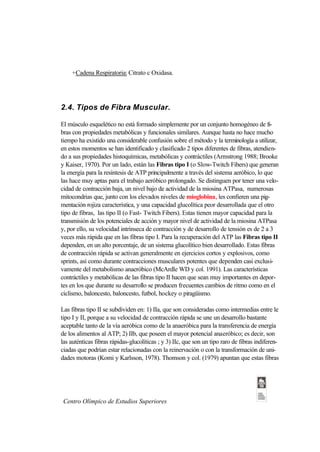 +Cadena Respiratoria: Citrato c Oxidasa.




2.4. Tipos de Fibra Muscular.

El músculo esquelético no está formado simplemente por un conjunto homogéneo de fi-
bras con propiedades metabólicas y funcionales similares. Aunque hasta no hace mucho
tiempo ha existido una considerable confusión sobre el método y la terminología a utilizar,
en estos momentos se han identificado y clasificado 2 tipos diferentes de fibras, atendien-
do a sus propiedades histoquímicas, metabólicas y contráctiles (Armstrong 1988; Brooke
y Kaiser, 1970). Por un lado, están las Fibras tipo I (o Slow-Twitch Fibers) que generan
la energía para la resíntesis de ATP principalmente a través del sistema aeróbico, lo que
las hace muy aptas para el trabajo aeróbico prolongado. Se distinguen por tener una velo-
cidad de contracción baja, un nivel bajo de actividad de la miosina ATPasa, numerosas
mitocondrias que, junto con los elevados niveles de mioglobina, les confieren una pig-
mentación rojiza característica, y una capacidad glucolítica peor desarrollada que el otro
tipo de fibras, las tipo II (o Fast- Twitch Fibers). Estas tienen mayor capacidad para la
transmisión de los potenciales de acción y mayor nivel de actividad de la miosina ATPasa
y, por ello, su velocidad intrínseca de contracción y de desarrollo de tensión es de 2 a 3
veces más rápida que en las fibras tipo I. Para la recuperación del ATP las Fibras tipo II
dependen, en un alto porcentaje, de un sistema glucolítico bien desarrollado. Estas fibras
de contracción rápida se activan generalmente en ejercicios cortos y explosivos, como
sprints, así como durante contracciones musculares potentes que dependen casi exclusi-
vamente del metabolismo anaeróbico (McArdle WD y col. 1991). Las características
contráctiles y metabólicas de las fibras tipo II hacen que sean muy importantes en depor-
tes en los que durante su desarrollo se producen frecuentes cambios de ritmo como en el
ciclismo, baloncesto, baloncesto, futbol, hockey o piragüismo.

Las fibras tipo II se subdividen en: 1) IIa, que son consideradas como intermedias entre le
tipo I y II, porque a su velocidad de contracción rápida se une un desarrollo bastante
aceptable tanto de la vía aeróbica como de la anaeróbica para la transferencia de energía
de los alimentos al ATP; 2) IIb, que poseen el mayor potencial anaeróbico; es decir, son
las auténticas fibras rápidas-glucolíticas ; y 3) IIc, que son un tipo raro de fibras indiferen-
ciadas que podrían estar relacionadas con la reinervación o con la transformación de uni-
dades motoras (Komi y Karlsson, 1978). Thomson y col. (1979) apuntan que estas fibras




 Centro Olímpico de Estudios Superiores
 