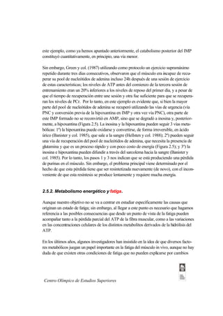 este ejemplo, como ya hemos apuntado anteriormente, el catabolismo posterior del IMP
constituyó cuantitativamente, en principio, una vía menor.

Sin embargo, Green y col. (1987) utilizando como protocolo un ejercicio supramáximo
repetido durante tres días consecutivos, observaron que el músculo era incapaz de recu-
perar su pool de nucleótidos de adenina incluso 24h después de una sesión de ejercicio
de estas características; los niveles de ATP antes del comienzo de la tercera sesión de
entrenamiento eran un 20% inferiores a los niveles de reposo del primer día, y a pesar de
que el tiempo de recuperación entre une sesión y otra fue suficiente para que se recupera-
ran los niveles de PCr. Por lo tanto, en este ejemplo es evidente que, si bien la mayor
parte del pool de nucleótidos de adenina se recuperó utilizando las vías de urgencia (vía
PNC y conversión previa de la hipoxantina en IMP y otra vez vía PNC), otra parte de
este IMP formado no se reconvirtió en AMP, sino que se degradó a inosina y, posterior-
mente, a hipoxantina (Figura 2.5). La inosina y la hipoxantina pueden seguir 3 vías meta-
bólicas: 1º) la hipoxantina puede oxidarse y convertirse, de forma irreversible, en ácido
úrico (Banister y col. 1985), que sale a la sangre (Hellsten y col. 1988); 2º) pueden seguir
una vía de recuperación del pool de nucleótidos de adenina, que necesita la presencia de
glutamina y que es un proceso rápido y con poco costo de energía (Figura 2.5); y 3º) la
inosina e hipoxantina pueden difundir a través del sarcolema hacia la sangre (Banister y
col. 1985). Por lo tanto, los pasos 1 y 3 nos indican que se está produciendo una pérdida
de purinas en el músculo. Sin embargo, el problema principal viene determinado por el
hecho de que esta pérdida tiene que ser resintetizada nuevamente (de novo), con el incon-
veniente de que esta resíntesis se produce lentamente y requiere mucha energía.


2.5.2. Metabolismo energético y fatiga.

Aunque nuestro objetivo no se va a centrar en estudiar específicamente las causas que
originan un estado de fatiga; sin embargo, al llegar a este punto es necesario que hagamos
referencia a las posibles consecuencias que desde un punto de vista de la fatiga pueden
acompañar tanto a la pérdida parcial del ATP de la fibra muscular, como a las variaciones
en las concentraciones celulares de los distintos metabolitos derivados de la hidrólisis del
ATP.

En los últimos años, algunos investigadores han insistido en la idea de que diversos facto-
res metabólicos juegan un papel importante en la fatiga del músculo in vivo, aunque no hay
duda de que existen otras condiciones de fatiga que no pueden explicarse por cambios




 Centro Olímpico de Estudios Superiores
 