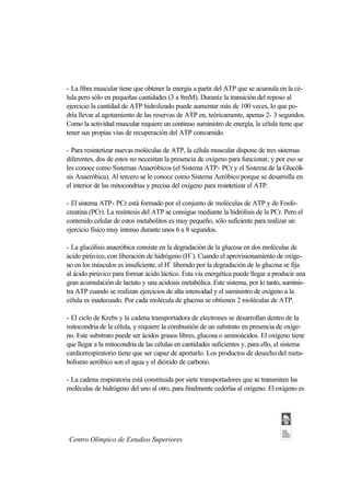 - La fibra muscular tiene que obtener la energía a partir del ATP que se acumula en la cé-
lula pero sólo en pequeñas cantidades (3 a 8mM). Durante la transición del reposo al
ejercicio la cantidad de ATP hidrolizado puede aumentar más de 100 veces, lo que po-
dría llevar al agotamiento de las reservas de ATP en, teóricamente, apenas 2- 3 segundos.
Como la actividad muscular requiere un continuo suministro de energía, la célula tiene que
tener sus propias vías de recuperación del ATP consumido.

- Para resintetizar nuevas moléculas de ATP, la célula muscular dispone de tres sistemas
diferentes, dos de estos no necesitan la presencia de oxígeno para funcionar, y por eso se
les conoce como Sistemas Anaeróbicos (el Sistema ATP- PCr y el Sistema de la Glucóli-
sis Anaeróbica). Al tercero se le conoce como Sistema Aeróbico porque se desarrolla en
el interior de las mitocondrias y precisa del oxígeno para resintetizar el ATP.

- El sistema ATP- PCr está formado por el conjunto de moléculas de ATP y de Fosfo-
creatina (PCr). La resíntesis del ATP se consigue mediante la hidrólisis de la PCr. Pero el
contenido celular de estos metabolitos es muy pequeño, sólo suficiente para realizar un
ejercicio físico muy intenso durante unos 6 a 8 segundos.

- La glucólisis anaeróbica consiste en la degradación de la glucosa en dos moléculas de
ácido pirúvico, con liberación de hidrógeno (H+). Cuando el aprovisionamiento de oxíge-
no en los músculos es insuficiente, el H+ liberado por la degradación de la glucosa se fija
al ácido pirúvico para formar ácido láctico. Esta vía energética puede llegar a producir una
gran acumulación de lactato y una acidosis metabólica. Este sistema, por lo tanto, suminis-
tra ATP cuando se realizan ejercicios de alta intensidad y el suministro de oxígeno a la
célula es inadecuado. Por cada molécula de glucosa se obtienen 2 moléculas de ATP.

- El ciclo de Krebs y la cadena transportadora de electrones se desarrollan dentro de la
mitocondria de la célula, y requiere la combustión de un substrato en presencia de oxíge-
no. Este substrato puede ser ácidos grasos libres, glucosa o aminoácidos. El oxígeno tiene
que llegar a la mitocondria de las células en cantidades suficientes y, para ello, el sistema
cardiorrespiratorio tiene que ser capaz de aportarlo. Los productos de desecho del meta-
bolismo aeróbico son el agua y el dióxido de carbono.

- La cadena respiratoria está constituida por siete transportadores que se transmiten las
moléculas de hidrógeno del uno al otro, para finalmente cederlas al oxígeno. El oxígeno es




 Centro Olímpico de Estudios Superiores
 