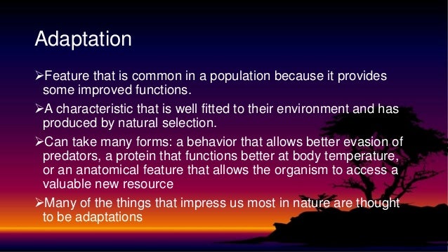 Natural Selection Allows Organisms To Become Better Natural Selection Allows Organisms To Become Better