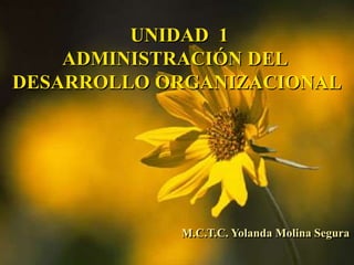 UNIDAD 1
ADMINISTRACIÓN DEL
DESARROLLO ORGANIZACIONAL
M.C.T.C. Yolanda Molina Segura
 