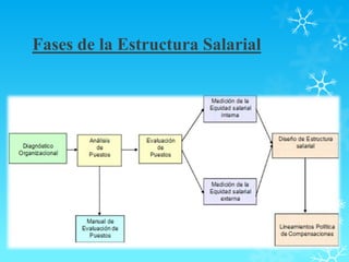 Fases de la Estructura Salarial
 