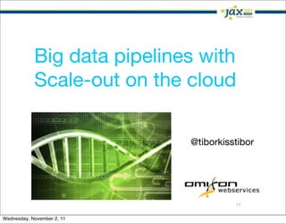 Big data pipelines with
            Scale-out on the cloud

                             @tiborkisstibor




                                       11

Wednesday, November 2, 11
 