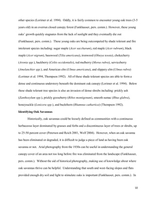 10
other species (Lorimer et al. 1994). Oddly, it is fairly common to encounter young oak trees (3-5
years old) in an overrun closed canopy forest (Fankhauser, pers. comm.). However, these young
oaks’ growth quickly stagnates from the lack of sunlight and they eventually die out
(Fankhauser, pers. comm.). These young oaks are being outcompeted by shade tolerant and fire
intolerant species including: sugar maple (Acer saccharum), red maple (Acer rubrum), black
maple (Acer nigrum), basswood (Tilia americana), ironwood (Olneya tesota), chokecherry
(Aronia spp.), hackberry (Celtis occidentalis), red mulberry (Morus rubra), serviceberry
(Amelanchier spp.), and American elm (Ulmus americana), and slippery elm (Ulmus rubra)
(Lorimer et al. 1994, Thompson 1992). All of these shade tolerant species are able to form a
dense and continuous understory beneath the dominant oak canopy (Lorimer et al. 1994). Below
these shade tolerant tree species is also an invasion of dense shrubs including: prickly ash
(Zanthoxylum spp.), prickly gooseberry (Ribes montigenum), smooth sumac (Rhus glabra),
honeysuckle (Lonicera spp.), and buckthorn (Rhamnus cathartica) (Thompson 1992).
Identifying Oak Savannas
Historically, oak savannas could be loosely defined as communities with a continuous
herbaceous layer dominated by grasses and forbs and a discontinuous layer of trees or shrubs, up
to 25-50 percent cover (Peterson and Reich 2001, Wolf 2004). However, when an oak savanna
has been eliminated or degraded, it is difficult to judge a piece of land as having been oak
savanna or not. Arial photography from the 1930s can be useful in understanding the general
canopy cover of an area not too long before fire was eliminated from the landscape (Fankhauser,
pers. comm.). Without the aid of historical photography, making use of knowledge about where
oak savannas thrive can be helpful. Understanding that south and west-facing slopes and flats
provided enough dry soil and light to stimulate oaks is important (Fankhauser, pers. comm.). In
 