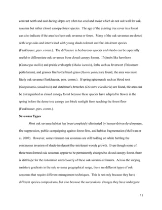 11
contrast north and east-facing slopes are often too cool and moist which do not suit well for oak
savanna but rather closed canopy-forest species. The age of the existing tree cover in a forest
can also indicate if the area has been oak savanna or forest. Many of the oak savannas are dotted
with large oaks and intertwined with young shade-tolerant and fire-intolerant species
(Fankhauser, pers. comm.). The difference in herbaceous species and shrubs can be especially
useful to differentiate oak savannas from closed canopy forests. If shrubs like hawthorn
(Crataegus mollis) and prairie crab apple (Malus ioensis), forbs such as feverwort (Triosteum
perfoliatum), and grasses like bottle brush grass (Hystrix patula) are found, the area was most
likely oak savanna (Fankhauser, pers. comm.). If spring ephemerals such as blood root
(Sanguinaria canadensis) and dutchman's breeches (Dicentra cucullaria) are found, the area can
be distinguished as closed canopy forest because these species have adapted to flower in the
spring before the dense tree canopy can block sunlight from reaching the forest floor
(Fankhauser, pers. comm.).
Savannas Types
Most oak savanna habitat has been completely eliminated by human-driven development,
fire suppression, public campaigning against forest fires, and habitat fragmentation (McEwan et
al. 2007). However, some remnant oak savannas are still holding on while battling the
continuous invasion of shade-intolerant/fire-intolerant woody growth. Even though some of
these transformed oak savannas appear to be permanently changed to closed canopy forest, there
is still hope for the restoration and recovery of these oak savanna remnants. Across the varying
moisture gradients in the oak savanna geographical range, there are different types of oak
savannas that require different management techniques. This is not only because they have
different species compositions, but also because the successional changes they have undergone
 