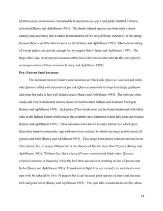 14
(Zanthoxylum americanum), honeysuckle (Caprifoliacaea spp.), and garlic mustard (Alliaria
petiolata)(Haney and Apfelbaum 1993). The shade-tolerant species can form such a dense
canopy and understory that it makes reintroduction of fire very difficult, especially in the spring
because there is so little litter to serve as fuel (Haney and Apfelbaum 1993). Mechanical cutting
of woody plants can provide enough fuel to support fires (Haney and Apfelbaum 1993). The
large older oaks, in overgrown savannas often have wide crowns that indicate the once open to
semi-open nature of these savannas (Haney and Apfelbaum 1993).
Dry: Eastern Sand Savannas
The dominant trees in Eastern sand savannas are black oak (Quercus velutina) and white
oak (Quercus alba) with intermittent pin oak (Quercus palustris) in steep hydrologic gradients
and some bur oaks in less well drained areas (Haney and Apfelbaum 1993). The soils are often
sandy and very well drained and are found in Northwestern Indiana and Southern Michigan
(Haney and Apfelbaum 1993). Jack pines (Pinus banksiana) can be found intermixed with black
oaks in the Indiana Dunes which marks the southern-most extension where jack pines are located
(Haney and Apfelbaum 1993). These savannas were known to carry intense fire which gave
them their barrens community type with most trees reduced to shrubs leaving a prairie matrix of
grasses and forbs (Haney and Apfelbaum 1993). They range from almost zero percent tree cover
after intense fire, to nearly 100 percent in the absence of fire for more than 50 years (Haney and
Apfelbaum 1993). Without fire, black cherry (Prunus serotina) and black oaks (Quercus
velutina) increase in frequency while the leaf litter accumulates resulting in loss of grasses and
forbs (Haney and Apfelbaum 1993). If moderate to light fires are carried, tree and shrub cover
may only be reduced by 10 to 30 percent but it can increase plant species richness and increase
forb and grass cover (Haney and Apfelbaum 1993). The year after a moderate to hot fire, about
 