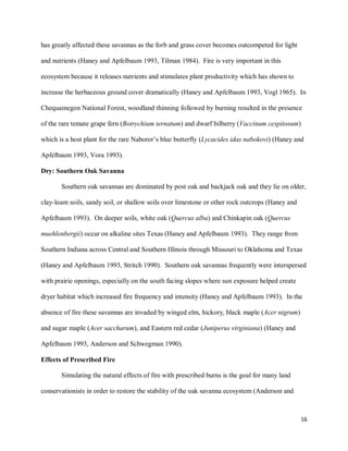 16
has greatly affected these savannas as the forb and grass cover becomes outcompeted for light
and nutrients (Haney and Apfelbaum 1993, Tilman 1984). Fire is very important in this
ecosystem because it releases nutrients and stimulates plant productivity which has shown to
increase the herbaceous ground cover dramatically (Haney and Apfelbaum 1993, Vogl 1965). In
Chequamegon National Forest, woodland thinning followed by burning resulted in the presence
of the rare temate grape fern (Botrychium ternatum) and dwarf bilberry (Vaccinum cespitosum)
which is a host plant for the rare Naboror’s blue butterfly (Lycacides idas nabokovi) (Haney and
Apfelbaum 1993, Vora 1993).
Dry: Southern Oak Savanna
Southern oak savannas are dominated by post oak and backjack oak and they lie on older,
clay-loam soils, sandy soil, or shallow soils over limestone or other rock outcrops (Haney and
Apfelbaum 1993). On deeper soils, white oak (Quercus alba) and Chinkapin oak (Quercus
muehlenbergii) occur on alkaline sites Texas (Haney and Apfelbaum 1993). They range from
Southern Indiana across Central and Southern Illinois through Missouri to Oklahoma and Texas
(Haney and Apfelbaum 1993, Stritch 1990). Southern oak savannas frequently were interspersed
with prairie openings, especially on the south facing slopes where sun exposure helped create
dryer habitat which increased fire frequency and intensity (Haney and Apfelbaum 1993). In the
absence of fire these savannas are invaded by winged elm, hickory, black maple (Acer nigrum)
and sugar maple (Acer saccharum), and Eastern red cedar (Juniperus virginiana) (Haney and
Apfelbaum 1993, Anderson and Schwegman 1990).
Effects of Prescribed Fire
Simulating the natural effects of fire with prescribed burns is the goal for many land
conservationists in order to restore the stability of the oak savanna ecosystem (Anderson and
 