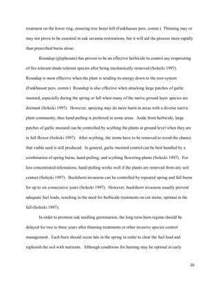 20
treatment on the lower ring, ensuring tree faster kill (Fankhauser pers. comm.) Thinning may or
may not prove to be essential in oak savanna restorations, but it will aid the process more rapidly
than prescribed burns alone.
Roundup (glyphosate) has proven to be an effective herbicide to control any resprouting
of fire tolerant/shade tolerant species after being mechanically removed (Solecki 1997).
Roundup is most effective when the plant is sending its energy down to the root system
(Fankhauser pers. comm.) Roundup is also effective when attacking large patches of garlic
mustard, especially during the spring or fall when many of the native ground layer species are
dormant (Solecki 1997). However, spraying may do more harm in areas with a diverse native
plant community, thus hand-pulling is preferred in some areas. Aside from herbicide, large
patches of garlic mustard can be controlled by scything the plants at ground level when they are
in full flower (Solecki 1997). After scything, the stems have to be removed to avoid the chance
that viable seed is still produced. In general, garlic mustard control can be best handled by a
combination of spring burns, hand-pulling, and scything flowering plants (Solecki 1997). For
less concentrated infestations, hand-pulling works well if the plants are removed from any soil
contact (Solecki 1997). Buckthorn invasions can be controlled by repeated spring and fall burns
for up to six consecutive years (Solecki 1997). However, buckthorn invasions usually prevent
adequate fuel loads, resulting in the need for herbicide treatments on cut stems; optimal in the
fall (Solecki 1997).
In order to promote oak seedling germination, the long term burn regime should be
delayed for two to three years after thinning treatments or other invasive species control
management. Each burn should occur late in the spring in order to clear the fuel load and
replenish the soil with nutrients. Although conditions for burning may be optimal in early
 