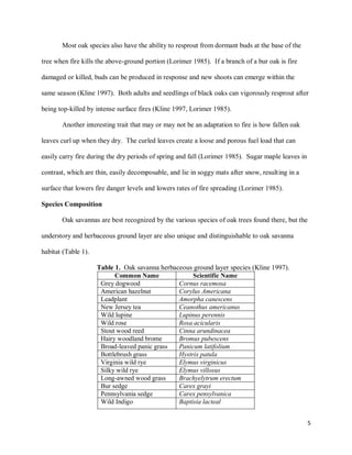 5
Most oak species also have the ability to resprout from dormant buds at the base of the
tree when fire kills the above-ground portion (Lorimer 1985). If a branch of a bur oak is fire
damaged or killed, buds can be produced in response and new shoots can emerge within the
same season (Kline 1997). Both adults and seedlings of black oaks can vigorously resprout after
being top-killed by intense surface fires (Kline 1997, Lorimer 1985).
Another interesting trait that may or may not be an adaptation to fire is how fallen oak
leaves curl up when they dry. The curled leaves create a loose and porous fuel load that can
easily carry fire during the dry periods of spring and fall (Lorimer 1985). Sugar maple leaves in
contrast, which are thin, easily decomposable, and lie in soggy mats after snow, resulting in a
surface that lowers fire danger levels and lowers rates of fire spreading (Lorimer 1985).
Species Composition
Oak savannas are best recognized by the various species of oak trees found there, but the
understory and herbaceous ground layer are also unique and distinguishable to oak savanna
habitat (Table 1).
Table 1. Oak savanna herbaceous ground layer species (Kline 1997).
Common Name Scientific Name
Grey dogwood Cornus racemosa
American hazelnut Corylus Americana
Leadplant Amorpha canescens
New Jersey tea Ceanothus americanus
Wild lupine Lupinus perennis
Wild rose Rosa acicularis
Stout wood reed Cinna arundinacea
Hairy woodland brome Bromus pubescens
Broad-leaved panic grass Panicum latifolium
Bottlebrush grass Hystrix patula
Virginia wild rye Elymus virginicus
Silky wild rye Elymus villosus
Long-awned wood grass Brachyelytrum erectum
Bur sedge Carex grayi
Pennsylvania sedge Carex pensylvanica
Wild Indigo Baptisia lacteal
 