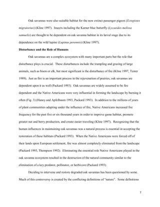 7
Oak savannas were also suitable habitat for the now extinct passenger pigeon (Ectopistes
migratorius) (Kline 1997). Insects including the Karner blue butterfly (Lycaeides melissa
samuelis) are thought to be dependent on oak savanna habitat in its larval stage due to its
dependence on the wild lupine (Lupinus perennis) (Kline 1997).
Disturbance and the Role of Humans
Oak savannas are a complex ecosystem with many important parts but the role that
disturbance plays is crucial. These disturbances include the trampling and grazing of large
animals, such as bison or elk, but most significant is the disturbance of fire (Kline 1997, Tester
1989). Just as fire is an important process in the rejuvenation of prairies, oak savannas are
dependent upon it as well (Packard 1993). Oak savannas are widely assumed to be fire
dependent and the Native Americans were very influential in forming the landscape by burning it
often (Fig. 3) (Haney and Apfelbaum 1993, Packard 1993). In addition to the millions of years
of plant communities adapting under the influence of fire, Native Americans increased fire
frequency for the past five or six thousand years in order to improve game habitat, promote
greater nut and berry production, and create easier traveling (Kline 1997). Recognizing that the
human influences in maintaining oak savannas was a natural process is essential in accepting the
restoration of these habitats (Packard 1993). When the Native Americans were forced off of
their lands upon European settlement, fire was almost completely eliminated from the landscape
(Packard 1993, Thompson 1992). Eliminating the essential role Native Americans played in the
oak savanna ecosystem resulted in the destruction of the natural community similar to the
elimination of a key predator, pollinator, or herbivore (Packard 1993).
Deciding to intervene and restore degraded oak savannas has been questioned by some.
Much of this controversy is created by the conflicting definitions of “nature”. Some definitions
 