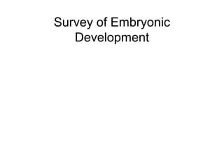 Survey of Embryonic 
Development 
 