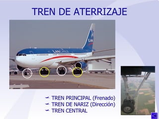 TREN DE ATERRIZAJE TREN PRINCIPAL (Frenado) TREN DE NARIZ (Dirección) TREN CENTRAL 