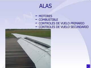 ALAS MOTORES COMBUSTIBLE CONTROLES DE VUELO PRIMARIO CONTROLES DE VUELO SECUNDARIO 