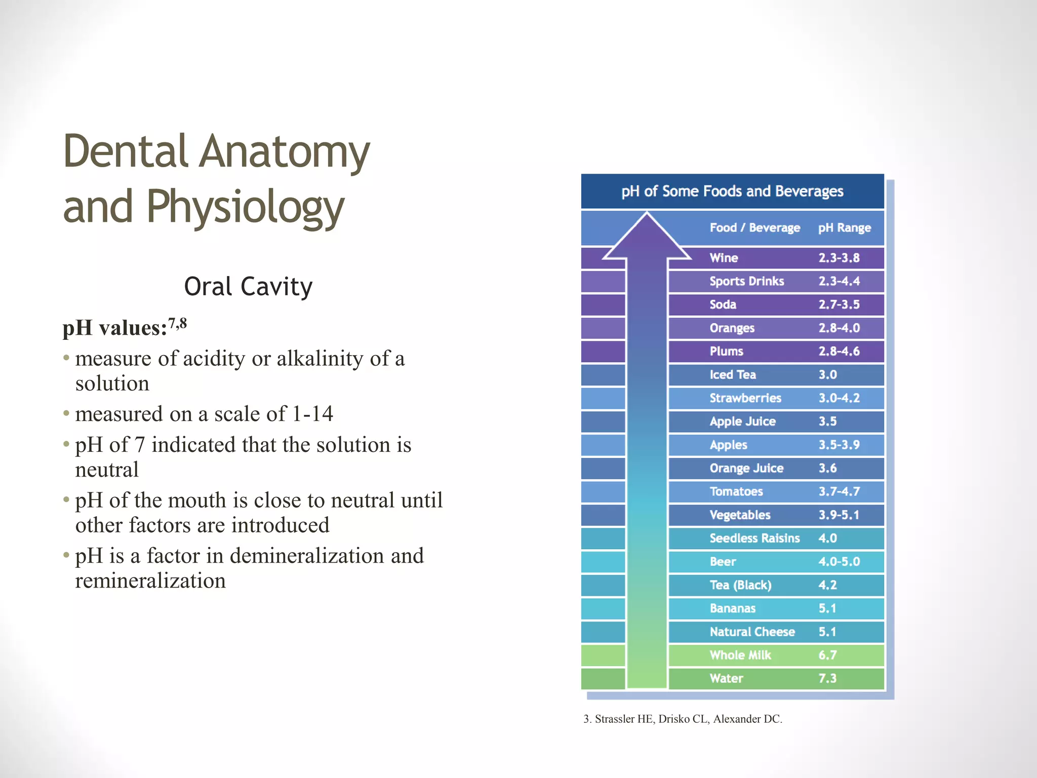 Anatomy of tooth | PDF