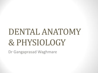 DENTAL ANATOMY
& PHYSIOLOGY
Dr Gangaprasad Waghmare
 