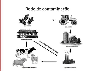 Rede de contaminação

 