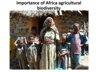 Importance of Africa agricultural 
biodiversity 
 