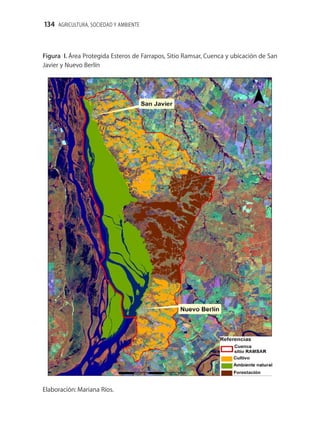 134 AGRICULTURA, SOCIEDAD Y AMBIENTE



Figura I. Área Protegida Esteros de Farrapos, Sitio Ramsar, Cuenca y ubicación de San
Javier y Nuevo Berlín




Elaboración: Mariana Ríos.
 
