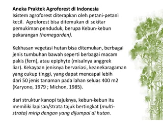 Aneka Praktek Agroforest di Indonesia
Isistem agroforest diterapkan oleh petani-petani
kecil. Agroforest bisa ditemukan di sekitar
pemukiman penduduk, berupa Kebun-kebun
pekarangan (homegarden).
Kekhasan vegetasi hutan bisa ditemukan, berbagai
jenis tumbuhan bawah seperti berbagai macam
pakis (fern), atau epiphyte (misalnya anggrek
liar). Kekayaan jenisnya bervariasi, keanekaragaman
yang cukup tinggi, yang dapat mencapai lebih
dari 50 jenis tanaman pada lahan seluas 400 m2
(Karyono, 1979 ; Michon, 1985).
dari struktur kanopi tajuknya, kebun-kebun itu
memiliki lapisan/strata tajuk bertingkat (multistrata) mirip dengan yang dijumpai di hutan.

 