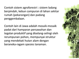 Contoh sistem agroforestri : sistem ladang
berpindah, kebun campuran di lahan sekitar
rumah (pekarangan) dan padang
penggembalaan.

Contoh lain di Jawa adalah mosaik-mosaik
padat dari hamparan persawahan dan
tegalan produktif yang diselang-selingi oleh
rerumpunan pohon, mempunyai struktur
yang mendekati hutan alam dengan
beraneka-ragam spesies tanaman.

 