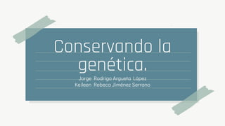 Conservando la
genética.
Jorge Rodrigo Argueta López
Keileen Rebeca Jiménez Serrano
 