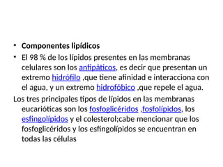 • Componentes lipídicos
• El 98 % de los lípidos presentes en las membranas
celulares son los anfipáticos, es decir que presentan un
extremo hidrófilo ,que tiene afinidad e interacciona con
el agua, y un extremo hidrofóbico ,que repele el agua.
Los tres principales tipos de lípidos en las membranas
eucarióticas son los fosfoglicéridos ,fosfolípidos, los
esfingolípidos y el colesterol;cabe mencionar que los
fosfoglicéridos y los esfingolípidos se encuentran en
todas las células
 