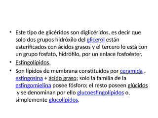 • Este tipo de glicéridos son diglicéridos, es decir que
solo dos grupos hidróxilo del glicerol están
esterificados con ácidos grasos y el tercero lo está con
un grupo fosfato, hidrófilo, por un enlace fosfoéster.
• Esfingolípidos.
• Son lípidos de membrana constituidos por ceramida ,
esfingosina + ácido graso; solo la familia de la
esfingomielina posee fósforo; el resto poseen glúcidos
y se denominan por ello glucoesfingolípidos o,
simplemente glucolípidos.
 