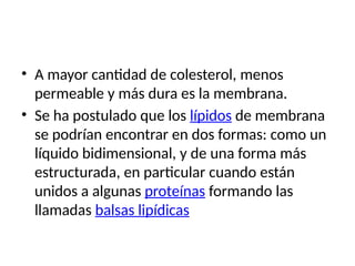 • A mayor cantidad de colesterol, menos
permeable y más dura es la membrana.
• Se ha postulado que los lípidos de membrana
se podrían encontrar en dos formas: como un
líquido bidimensional, y de una forma más
estructurada, en particular cuando están
unidos a algunas proteínas formando las
llamadas balsas lipídicas
 