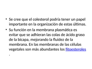 • Se cree que el colesterol podría tener un papel
importante en la organización de estas últimas.
• Su función en la membrana plasmática es
evitar que se adhieran las colas de ácido graso
de la bicapa, mejorando la fluidez de la
membrana. En las membranas de las células
vegetales son más abundantes los fitoesteroles
.
 
