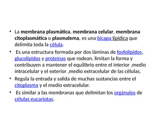 • La membrana plasmática, membrana celular, membrana
citoplasmática o plasmalema, es una bicapa lipídica que
delimita toda la célula.
• ​Es una estructura formada por dos láminas de fosfolípidos,
glucolípidos y proteínas que rodean, limitan la forma y
contribuyen a mantener el equilibrio entre el interior ,medio
intracelular y el exterior ,medio extracelular de las células.
• Regula la entrada y salida de muchas sustancias entre el
citoplasma y el medio extracelular.
• Es similar a las membranas que delimitan los orgánulos de
células eucariotas.
 
