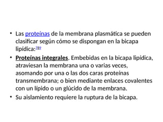 • Las proteínas de la membrana plasmática se pueden
clasificar según cómo se dispongan en la bicapa
lipídica:7
​
8
​
9
​
• Proteínas integrales. Embebidas en la bicapa lipídica,
atraviesan la membrana una o varias veces,
asomando por una o las dos caras proteínas
transmembrana; o bien mediante enlaces covalentes
con un lípido o un glúcido de la membrana.
• Su aislamiento requiere la ruptura de la bicapa.
 