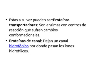 • Estas a su vez pueden ser:Proteínas
transportadoras: Son enzimas con centros de
reacción que sufren cambios
conformacionales.
• Proteínas de canal: Dejan un canal
hidrofóbico por donde pasan los iones
hidrofílicos.
 