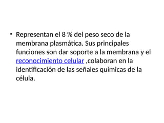 • Representan el 8 % del peso seco de la
membrana plasmática. Sus principales
funciones son dar soporte a la membrana y el
reconocimiento celular ,colaboran en la
identificación de las señales químicas de la
célula.
 