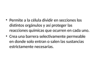 • Permite a la célula dividir en secciones los
distintos orgánulos y así proteger las
reacciones químicas que ocurren en cada uno.
• Crea una barrera selectivamente permeable
en donde solo entran o salen las sustancias
estrictamente necesarias.
 
