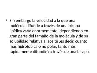 • Sin embargo la velocidad a la que una
molécula difunde a través de una bicapa
lipídica varía enormemente, dependiendo en
gran parte del tamaño de la molécula y de su
solubilidad relativa al aceite ,es decir, cuanto
más hidrofóbica o no polar, tanto más
rápidamente difundirá a través de una bicapa.
 
