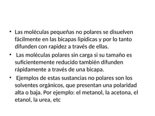 • Las moléculas pequeñas no polares se disuelven
fácilmente en las bicapas lipídicas y por lo tanto
difunden con rapidez a través de ellas.
• Las moléculas polares sin carga si su tamaño es
suficientemente reducido también difunden
rápidamente a través de una bicapa.
• Ejemplos de estas sustancias no polares son los
solventes orgánicos, que presentan una polaridad
alta o baja. Por ejemplo: el metanol, la acetona, el
etanol, la urea, etc
 