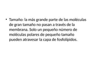 • Tamaño: la más grande parte de las moléculas
de gran tamaño no pasan a través de la
membrana. Solo un pequeño número de
moléculas polares de pequeño tamaño
pueden atravesar la capa de fosfolípidos.
 