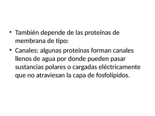 • También depende de las proteínas de
membrana de tipo:
• Canales: algunas proteínas forman canales
llenos de agua por donde pueden pasar
sustancias polares o cargadas eléctricamente
que no atraviesan la capa de fosfolípidos.
 