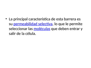 • La principal característica de esta barrera es
su permeabilidad selectiva, lo que le permite
seleccionar las moléculas que deben entrar y
salir de la célula.
 
