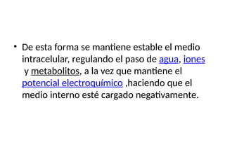 • De esta forma se mantiene estable el medio
intracelular, regulando el paso de agua, iones
y metabolitos, a la vez que mantiene el
potencial electroquímico ,haciendo que el
medio interno esté cargado negativamente.
 