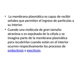 • La membrana plasmática es capaz de recibir
señales que permiten el ingreso de partículas a
su interior.
• Cuando una molécula de gran tamaño
atraviesa o es expulsada de la célula y se
invagina parte de la membrana plasmática
para recubrirlas cuando están en el interior
ocurren respectivamente los procesos de
endocitosis y exocitosis.
 