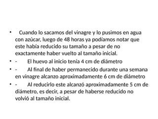 • Cuando lo sacamos del vinagre y lo pusimos en agua
con azúcar, luego de 48 horas ya podíamos notar que
este había reducido su tamaño a pesar de no
exactamente haber vuelto al tamaño inicial.
• - El huevo al inicio tenía 4 cm de diámetro
• - Al final de haber permanecido durante una semana
en vinagre alcanzo aproximadamente 6 cm de diámetro
• - Al reducirlo este alcanzó aproximadamente 5 cm de
diámetro, es decir, a pesar de haberse reducido no
volvió al tamaño inicial.
 