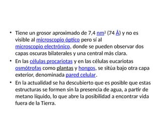 • Tiene un grosor aproximado de 7,4 nm3
​(74 Å) y no es
visible al microscopio óptico pero sí al
microscopio electrónico, donde se pueden observar dos
capas oscuras bilaterales y una central más clara.
• En las células procariotas y en las células eucariotas
osmótrofas como plantas y hongos, se sitúa bajo otra capa
exterior, denominada pared celular.
• En la actualidad se ha descubierto que es posible que estas
estructuras se formen sin la presencia de agua, a partir de
metano líquido, lo que abre la posibilidad a encontrar vida
fuera de la Tierra.
 