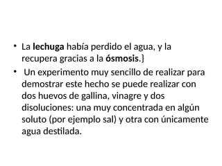 • La lechuga había perdido el agua, y la
recupera gracias a la ósmosis.}
• Un experimento muy sencillo de realizar para
demostrar este hecho se puede realizar con
dos huevos de gallina, vinagre y dos
disoluciones: una muy concentrada en algún
soluto (por ejemplo sal) y otra con únicamente
agua destilada.
 