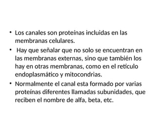 • Los canales son proteínas incluidas en las
membranas celulares.
• Hay que señalar que no solo se encuentran en
las membranas externas, sino que también los
hay en otras membranas, como en el retículo
endoplasmático y mitocondrias.
• Normalmente el canal esta formado por varias
proteínas diferentes llamadas subunidades, que
reciben el nombre de alfa, beta, etc.
 