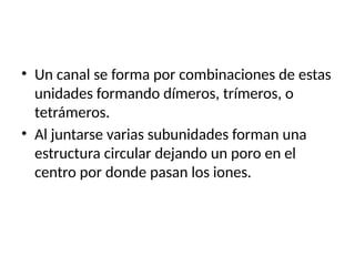• Un canal se forma por combinaciones de estas
unidades formando dímeros, trímeros, o
tetrámeros.
• Al juntarse varias subunidades forman una
estructura circular dejando un poro en el
centro por donde pasan los iones.
 