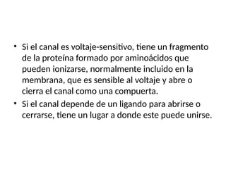 • Si el canal es voltaje-sensitivo, tiene un fragmento
de la proteína formado por aminoácidos que
pueden ionizarse, normalmente incluido en la
membrana, que es sensible al voltaje y abre o
cierra el canal como una compuerta.
• Si el canal depende de un ligando para abrirse o
cerrarse, tiene un lugar a donde este puede unirse.
 